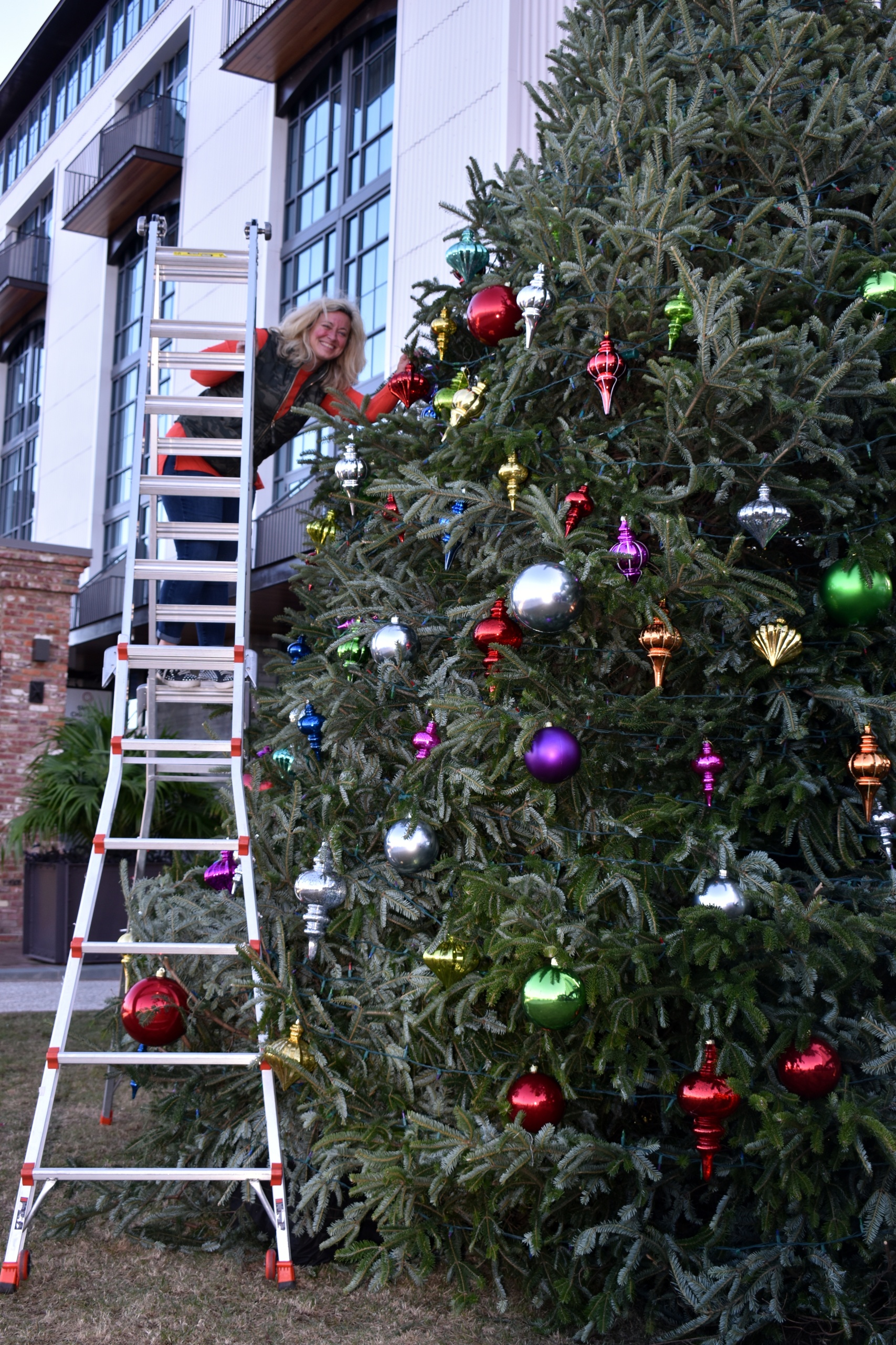 professional holiday decorators in Savannah GA